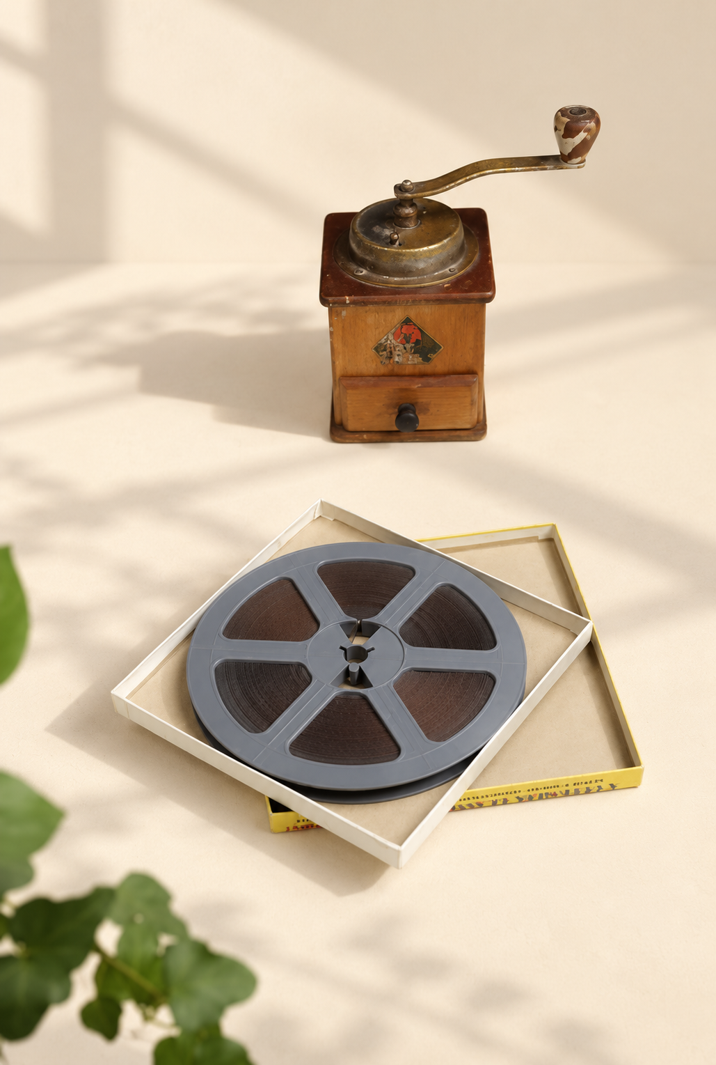 بكرة ٨ ملم | فلم جنغل جم