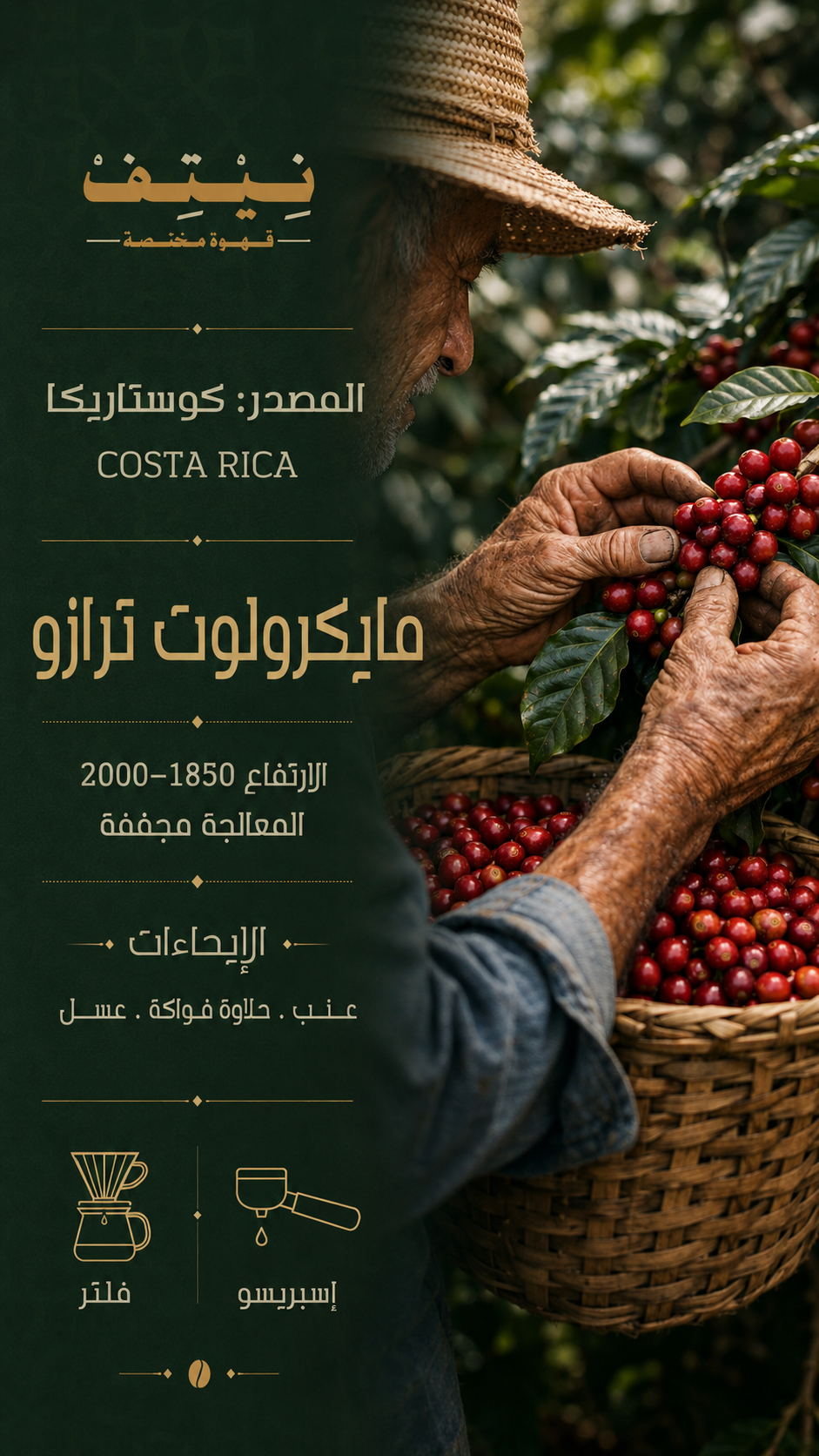 محصول كوستاريكا – مايكرولوت تارازو