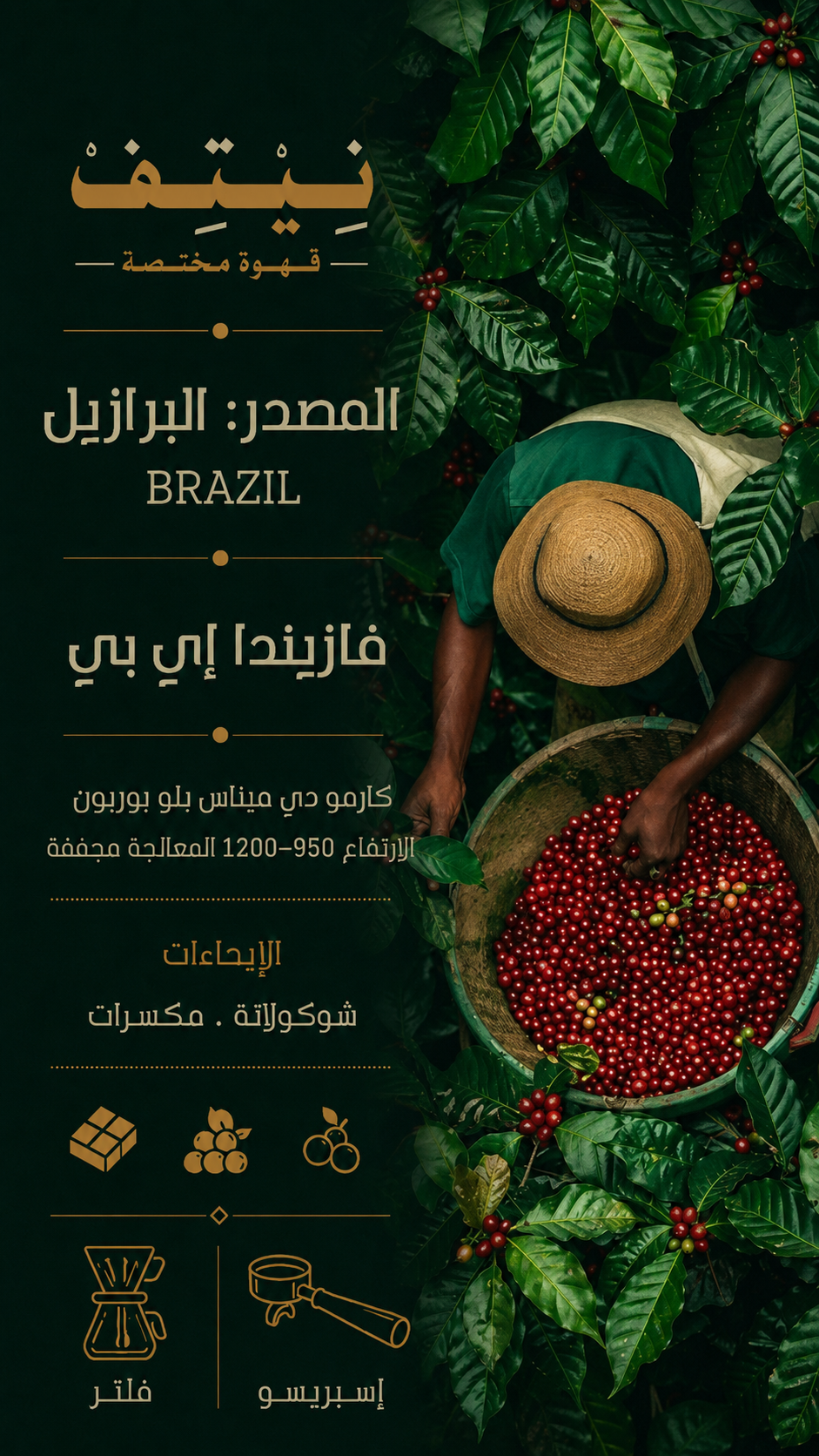محصول البرازيل – فازيندا إي بي